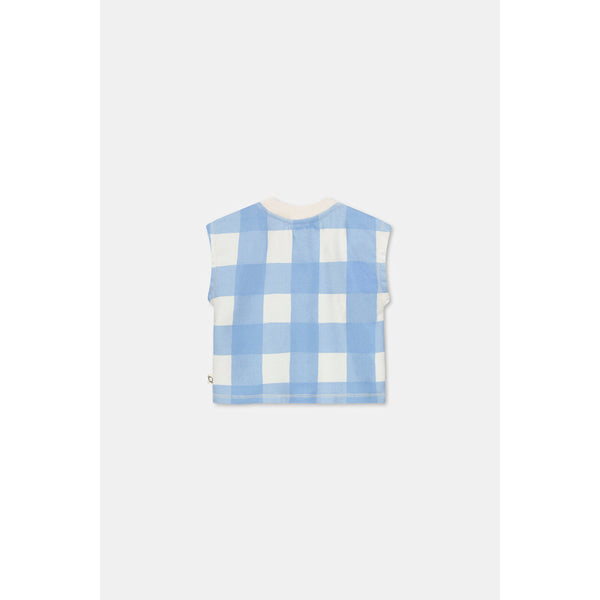 Baby Fleece Gingham T-shirt With Double Face Bermuda Shorts Set