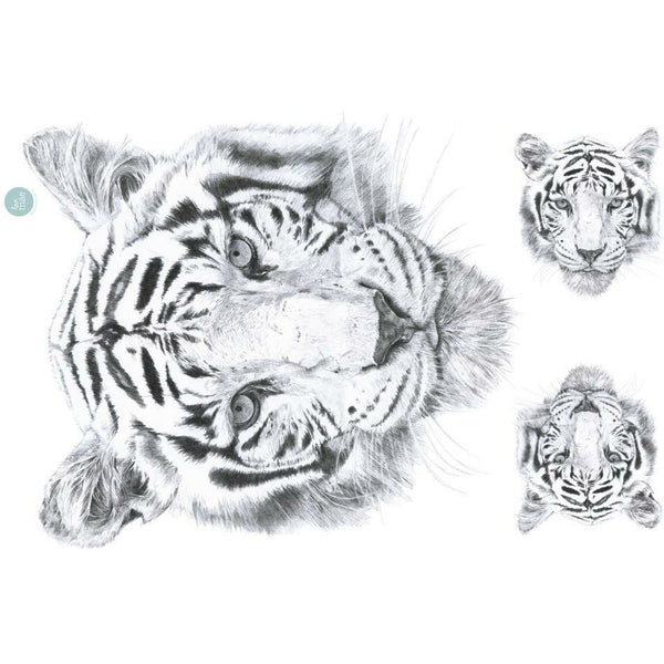 Tiger | Wall Sticker