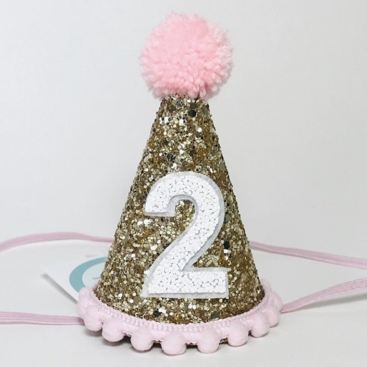 Birthday Hat | Pink Poms | 2